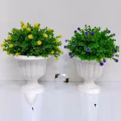 کاپی شمشاد متوسط