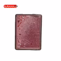 آینه جیبی فانتزی مدل آکواریومی اکلیلی