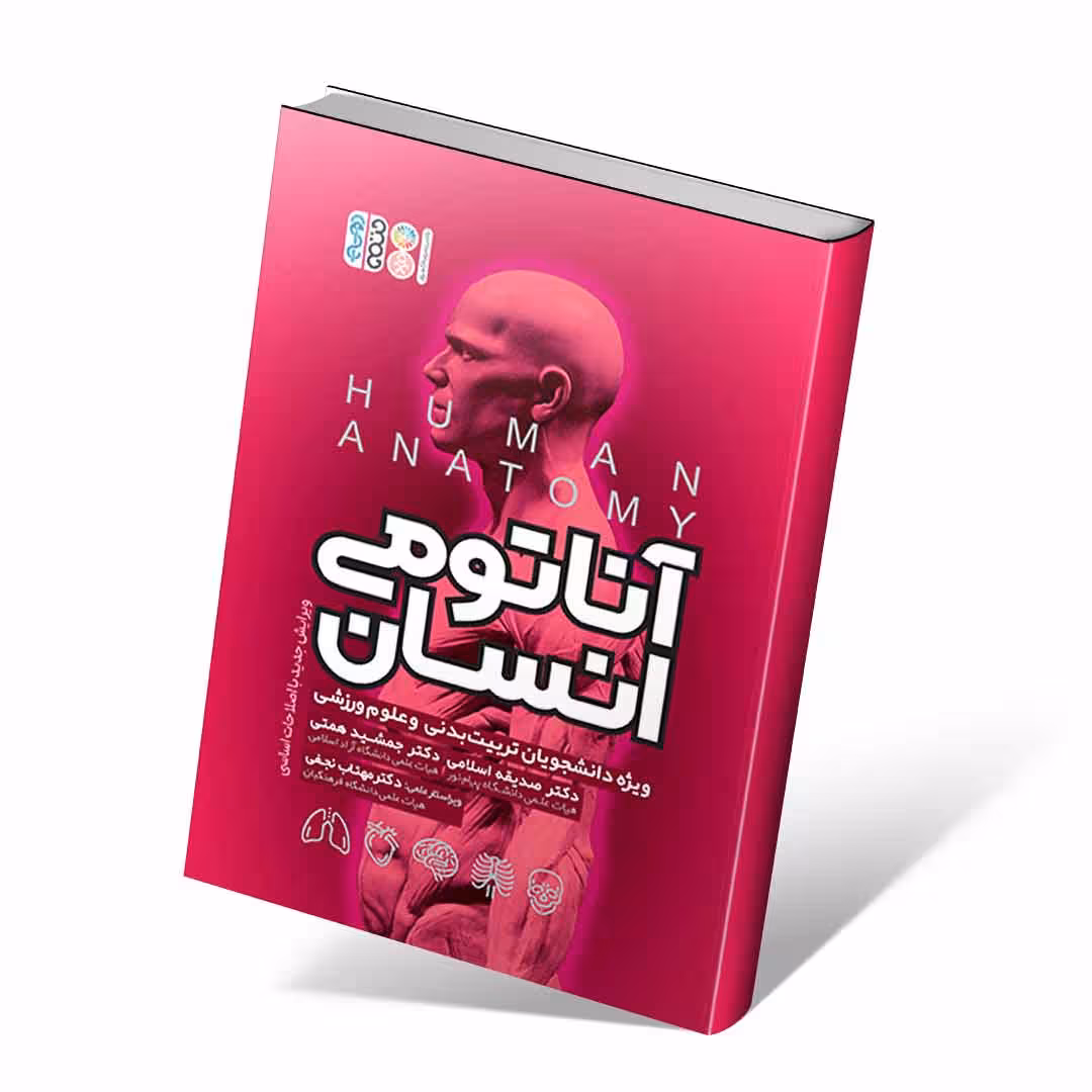 آناتومی انسان