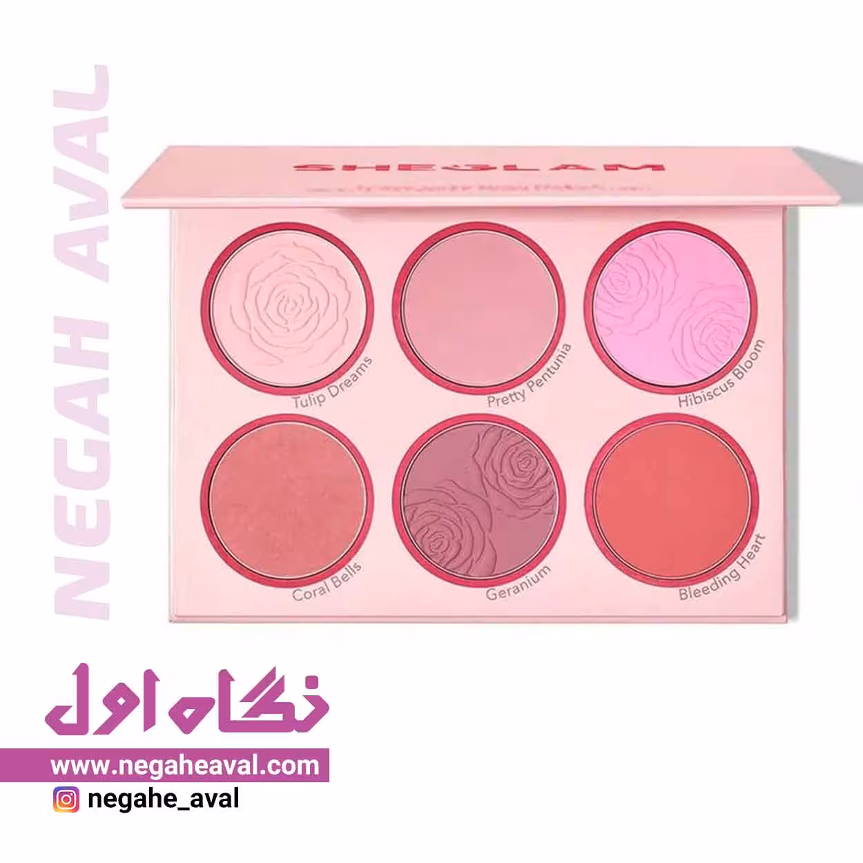 پالت رژگونه 6 رنگ FLORAL FLUSH شیگلم Pink