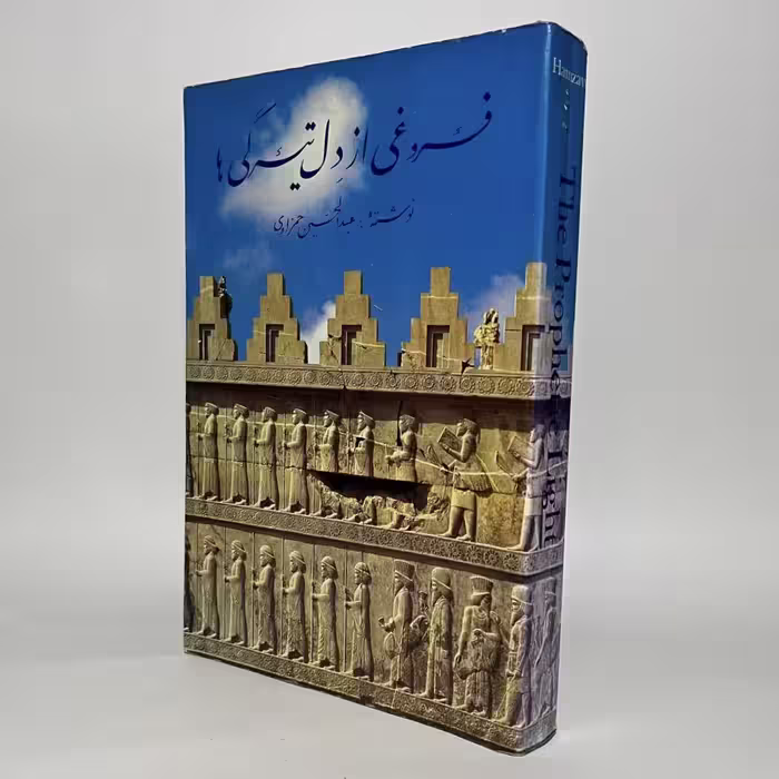 کتاب فروغی از دل تیرگی ها اثر عبدالحسین حمزاوی - کتابفروشی میم