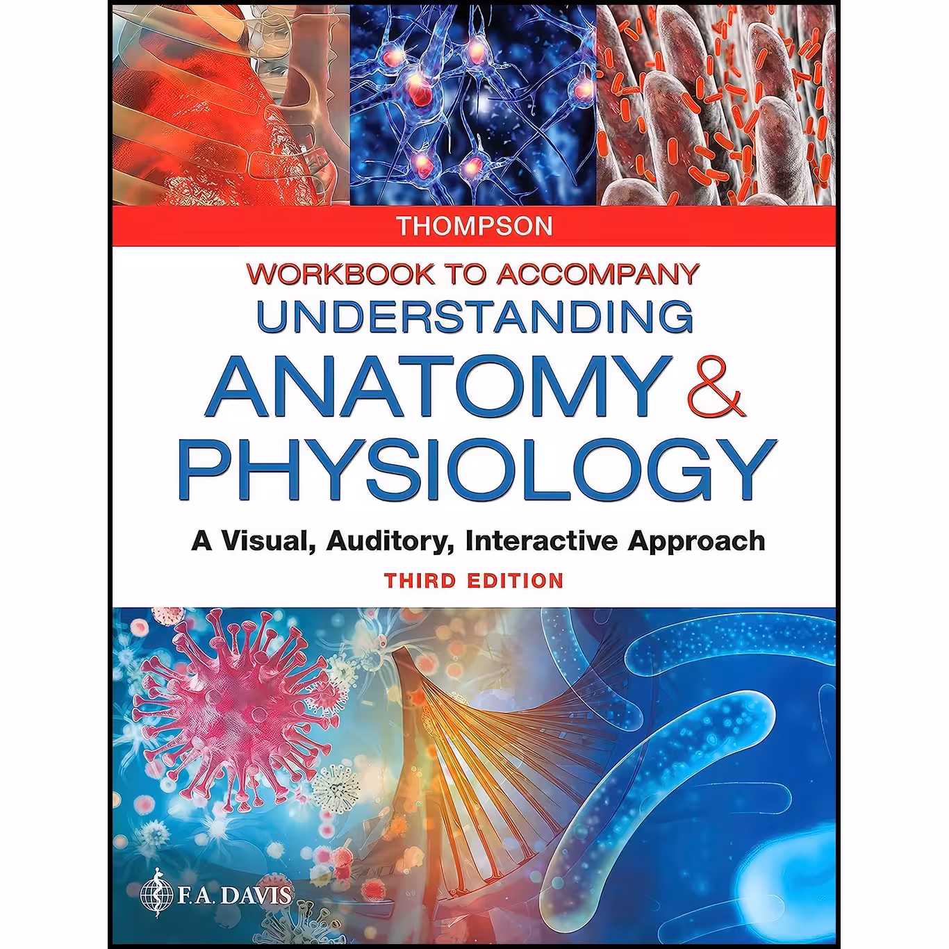 کتاب زبان اصلی Workbook to Accompany Understanding Anatomy Physiology