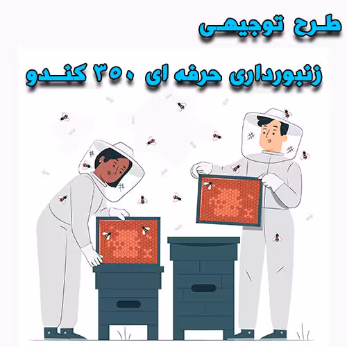 خرید و دانلود طرح توجیهی زنبورداری حرفه ای 350 کندو