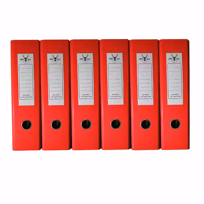 زونکن زرین بایگان کد 006 بسته 6 عددی | چاوه