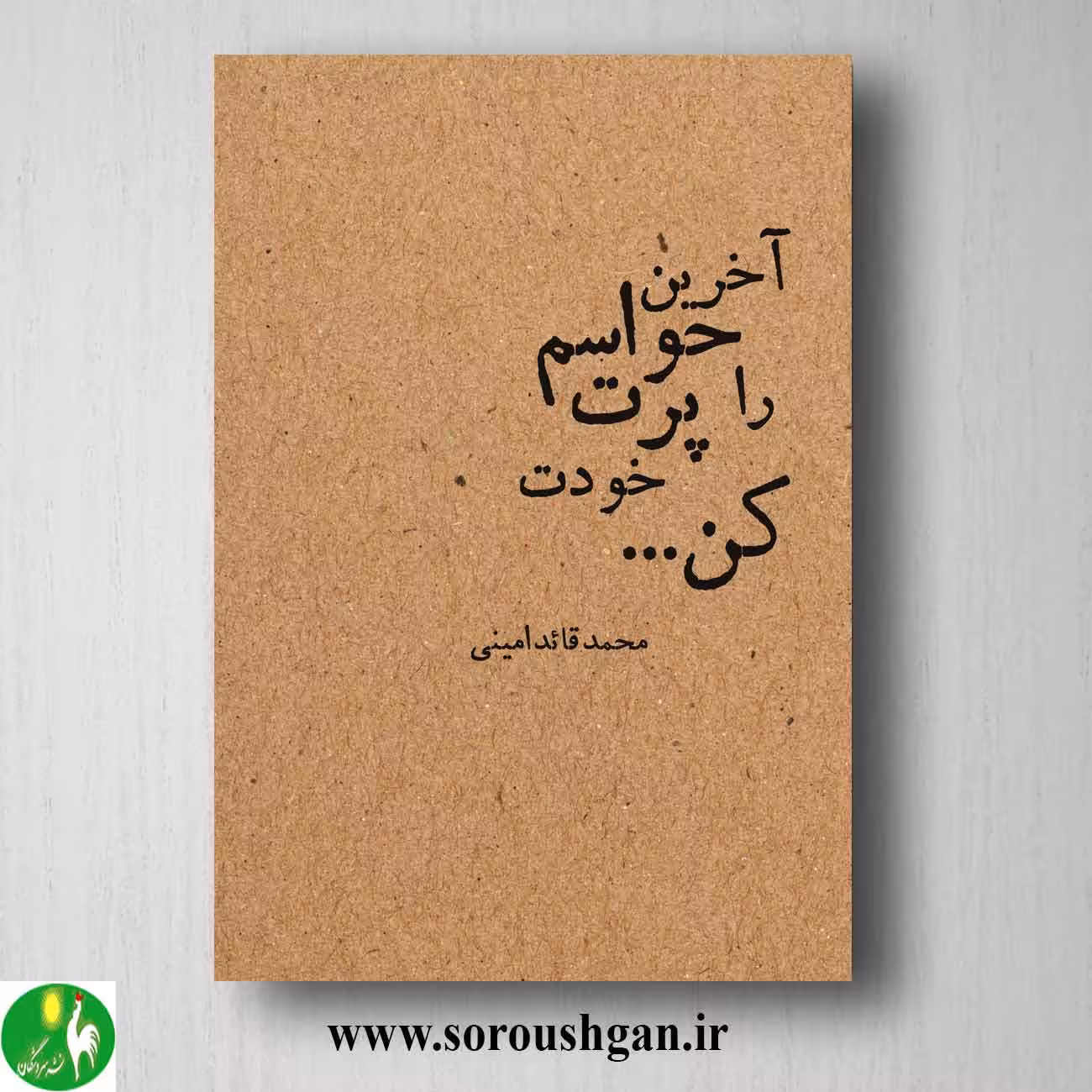 کتاب آخرین حواسم را پرت خودت کن