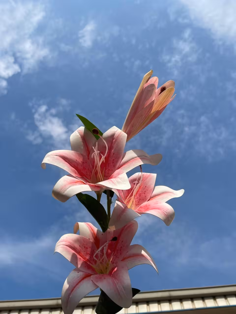 گل مصنوعی لیلیوم صورتی 3گل و یک غنچه