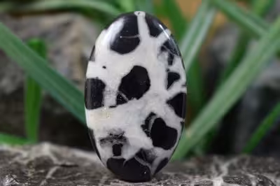 سپتارین مراکش اصل و طبیعی