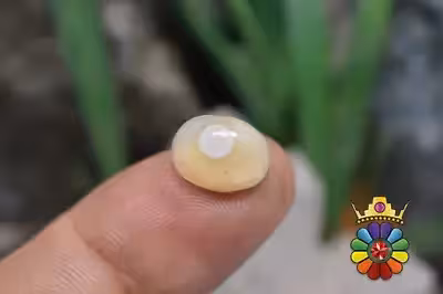 عقیق باباقوری