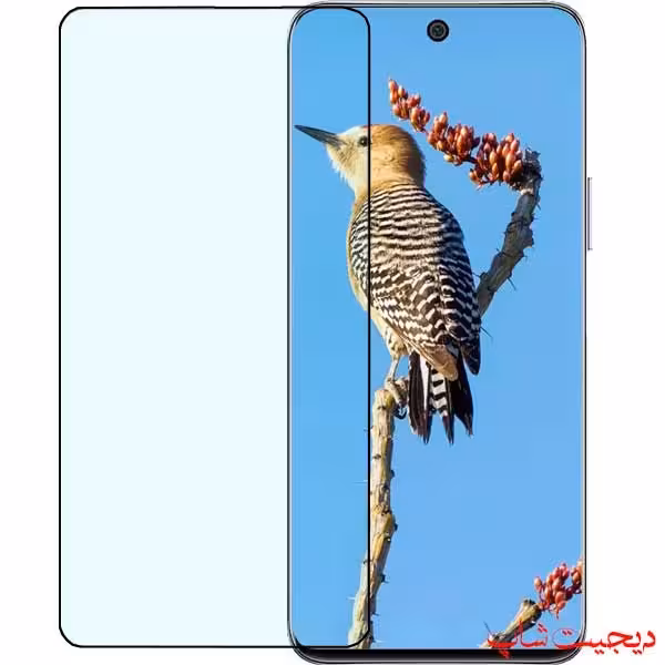 گلس X20 SE آنر Honor