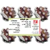  سر بطری و شیشه آشپزخانه 6 پارچه منسوجات خسروشاهی برتر طرح امواج کد SSH12