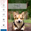 برچسب پوششی ماهوت مدل Dog-2 مناسب برای تبلت سامسونگ Galaxy Tab S5e 10.5 2019 T720