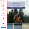 برچسب پوششی ماهوت مدل Equestrianism-FullSkin مناسب برای گوشی موبایل جی پلاس P10 Plus