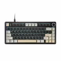 کیبورد یونزی مدل B75RGB