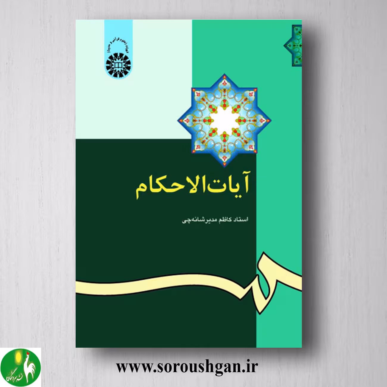کتاب آیات الاحکام اثر کاظم مدیر شانه چی