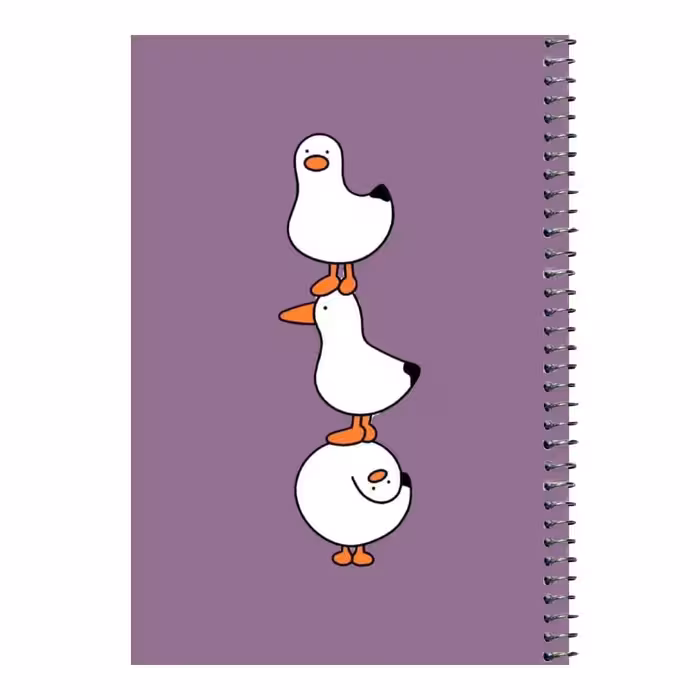 دفتر مشق 80 برگ اس جی طرح اردک های بامزه