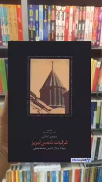 غزلیات شمس تبریز دو جلدی سخن قابدار