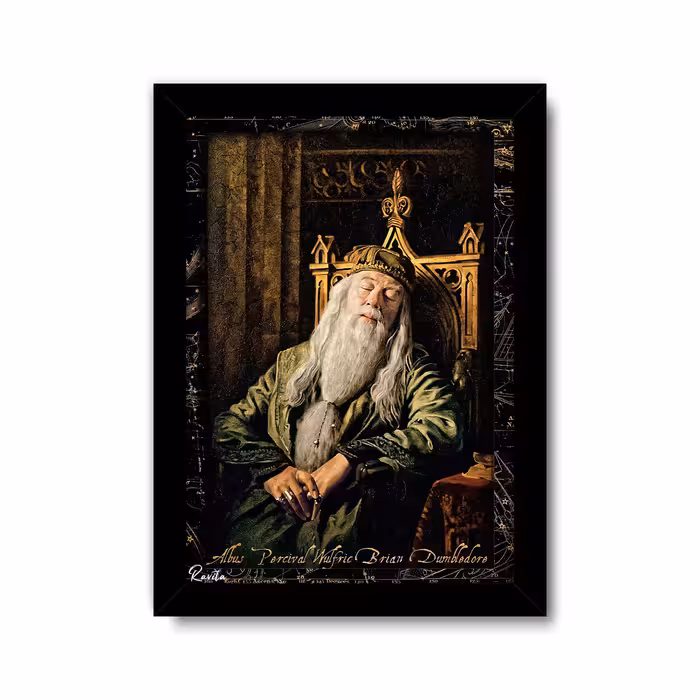 تابلو تکی پروفسور دامبلدور در هری پاتر کد T 410