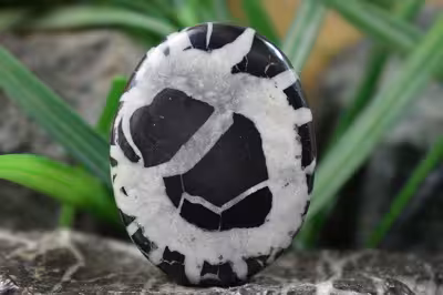 سپتارین مراکش اصل و طبیعی