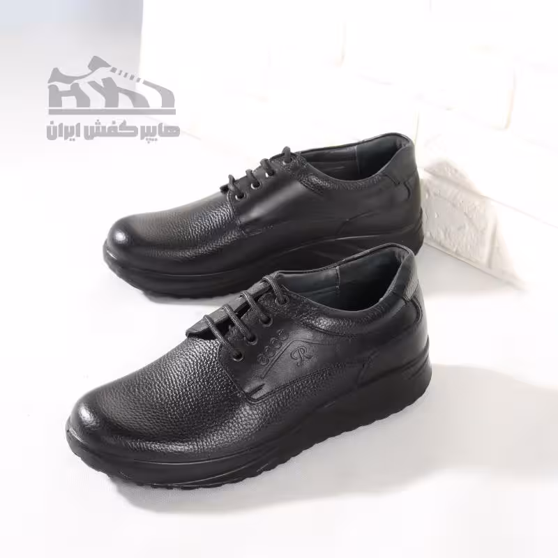کفش مردانه بندار ecco