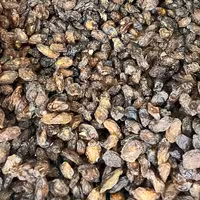 مویز سیاه آفتابی و طبیعی نیم کیلویی از عمده فروشی ادویه کیامد