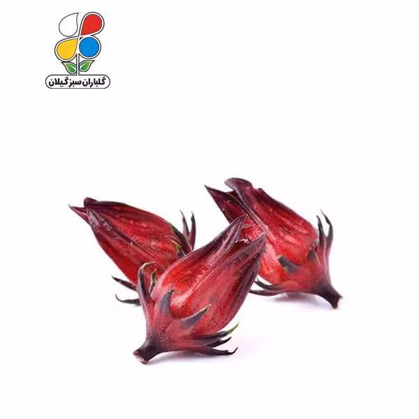 بذر چای ترش بسته سه عددی