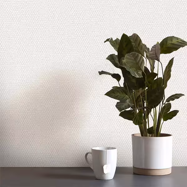 کاغذ دیواری کربن طرح جودون سفید کد 10065