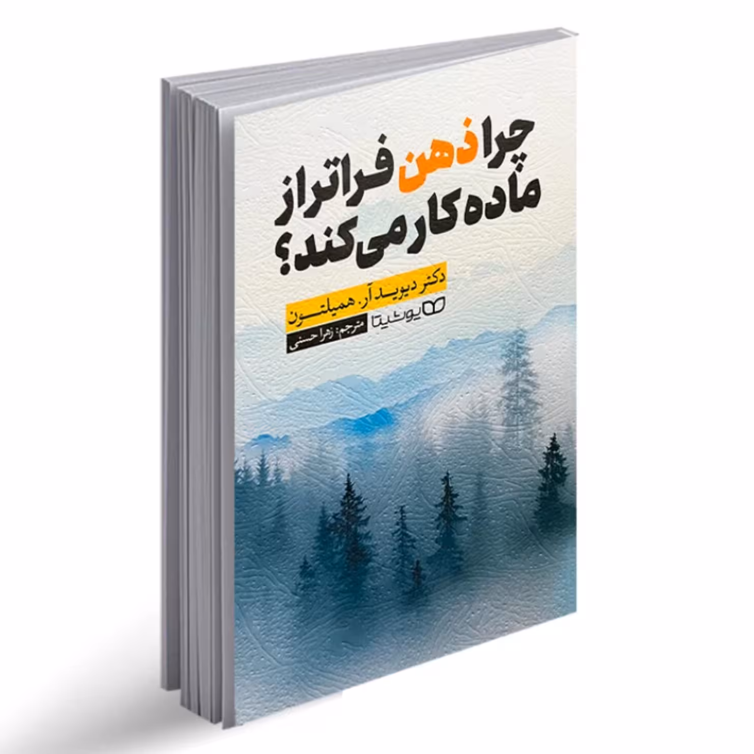 چرا ذهن فراتر از ماده کار می کند