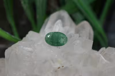زمرد زامبیا