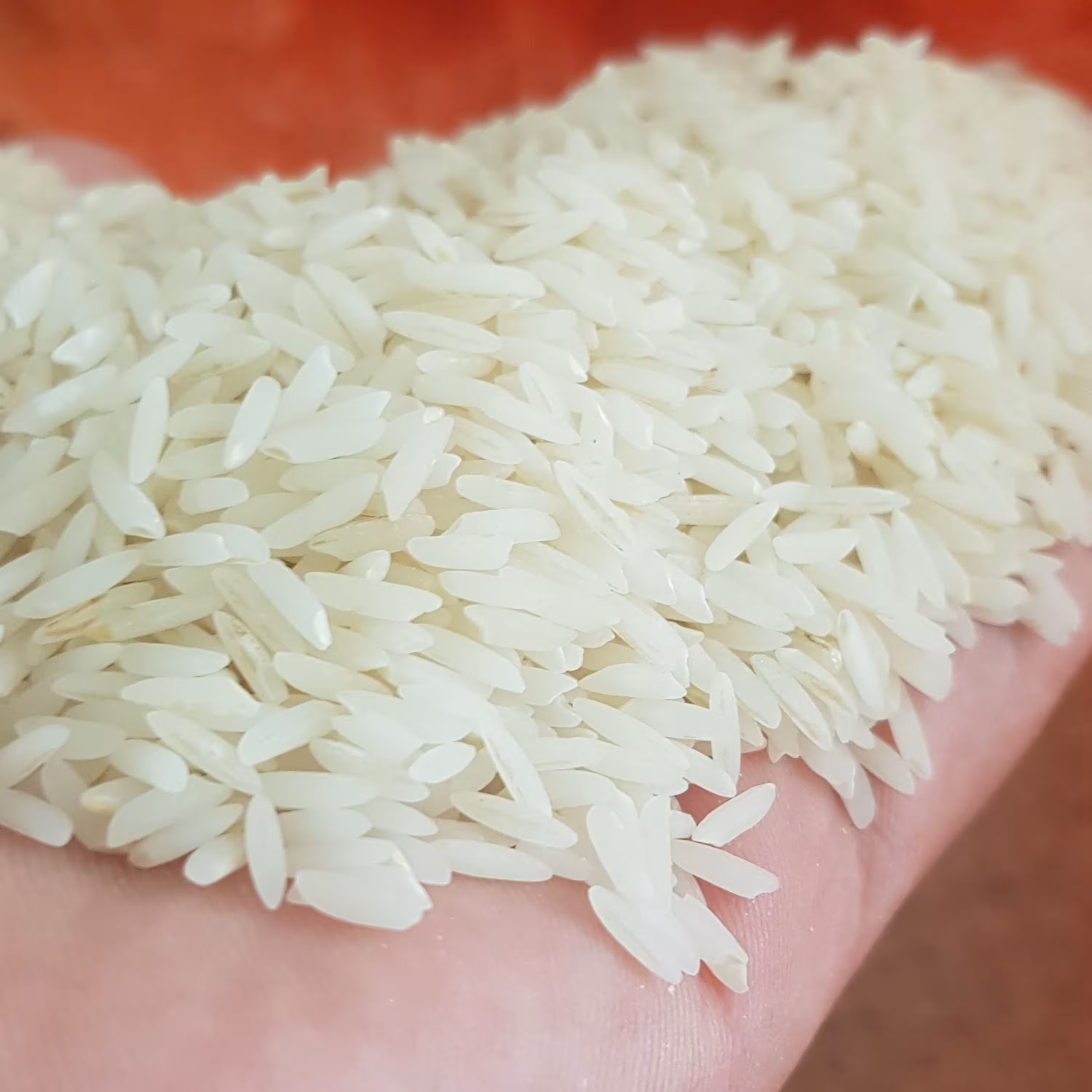 برنج بندپی (شالی وود) عرضه کننده برنج ممتازشمال باکیفیت کم نظیردربسته د0 کیلویی