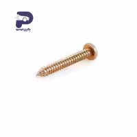 پیچ دستگیره مچی کوتاه پژو 405 و پارس 493107 جی ای اس پی