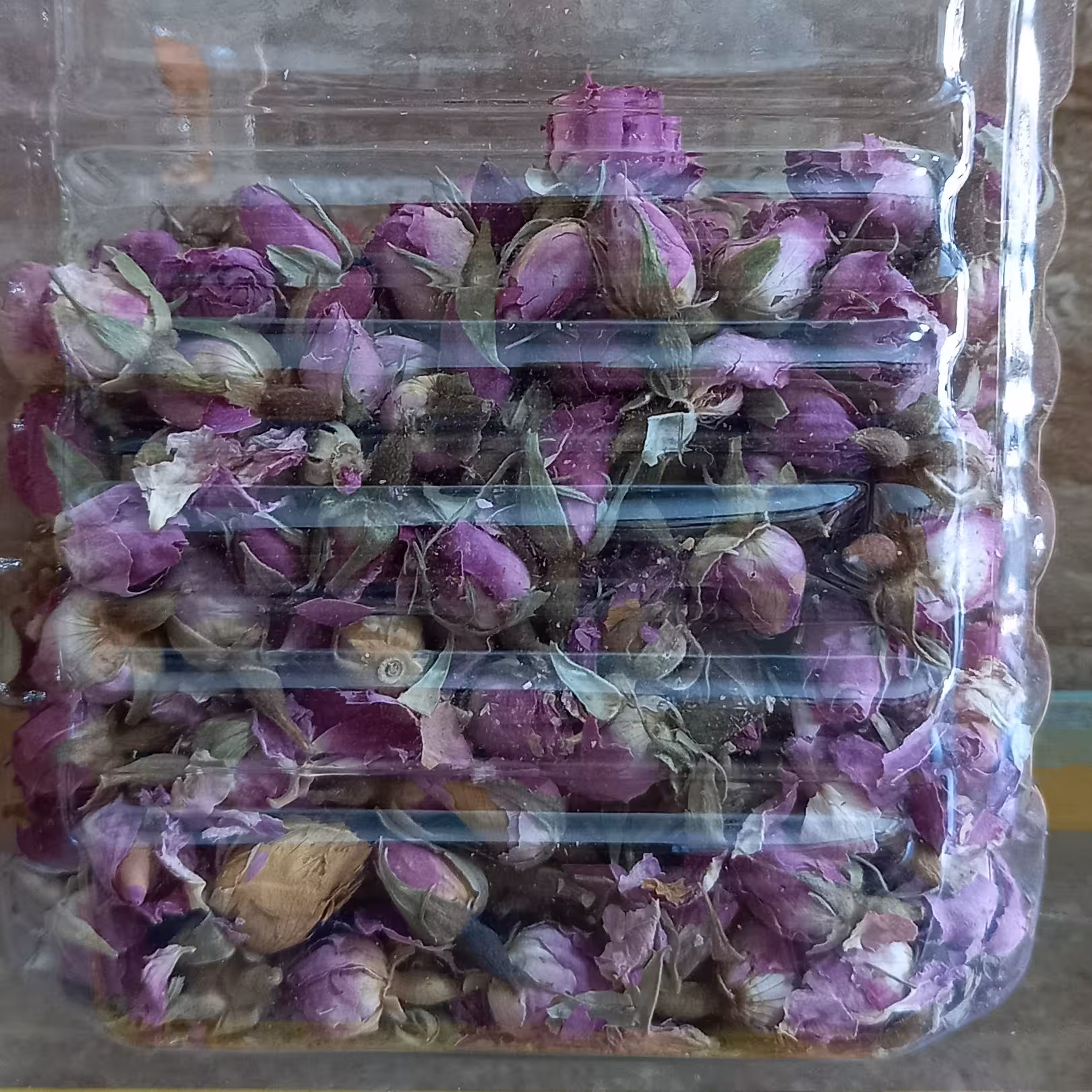 غنچه گل محمدی خوش رنگ درجه یک