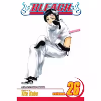 Bleach v26