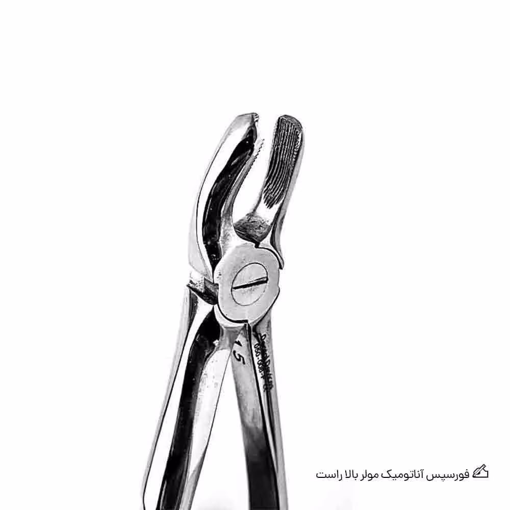 فورسپس آناتومیک مولر بالا راست