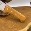 چاقوی آشپزخانه پناهنده مدل سلاخی