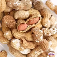 بادام زمینی غلاف دار250گرمی اعتماد تازه وخوشمزه - حذف شده