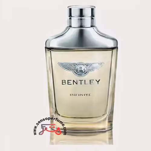 عطر ادکلن بنتلی اینفینیتی | bentley infinite eau de toilette
