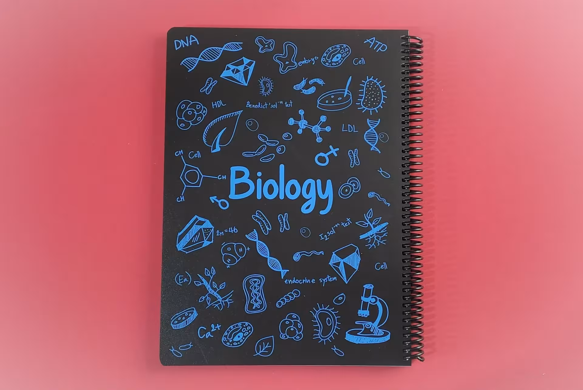 دفتر فرمول 100 برگ رحلی جلد طلقی Biology پونیکس