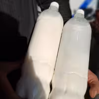 دوغ گاوی نهره با 3.5 درصد چربی یک و نیم لیتری