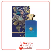 عطر ادکلن آمواج فیگمنت مردانه 100 میل