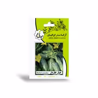 بذر خیار خاردار آرکا بذر ایرانیان