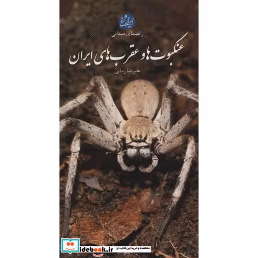 کتاب عنکبوت ها و عقرب های ایران (راهنمای میدانی)،(گلاسه) اثر علیرضا زمانی