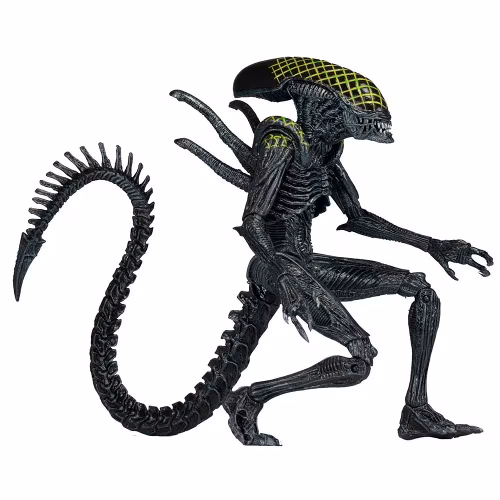 اکشن فیگور الین بیگانه مدل Alien Xenomorph AVP Grid برند نکا