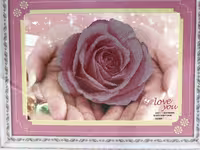 تابلو خام نقاشی باالماس طرح گل رز صورتی ILove you-اورجینال