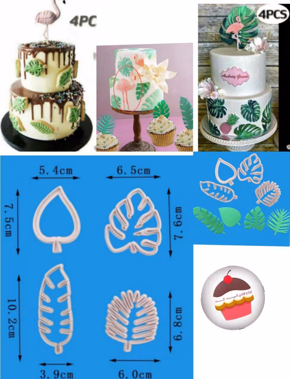 کاتر 4عددی برگ استوایی