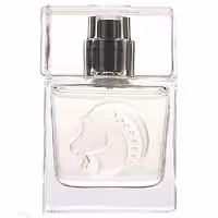 عطر جیبی مردانه دندلیون مدل Capricorn حجم 30 میلی لیتر – دی  Dandelion Capricorn Eau De Parfum for Men 30ml