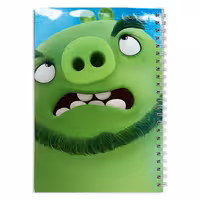 دفتر مشق کارتون پرندگان خشمگین