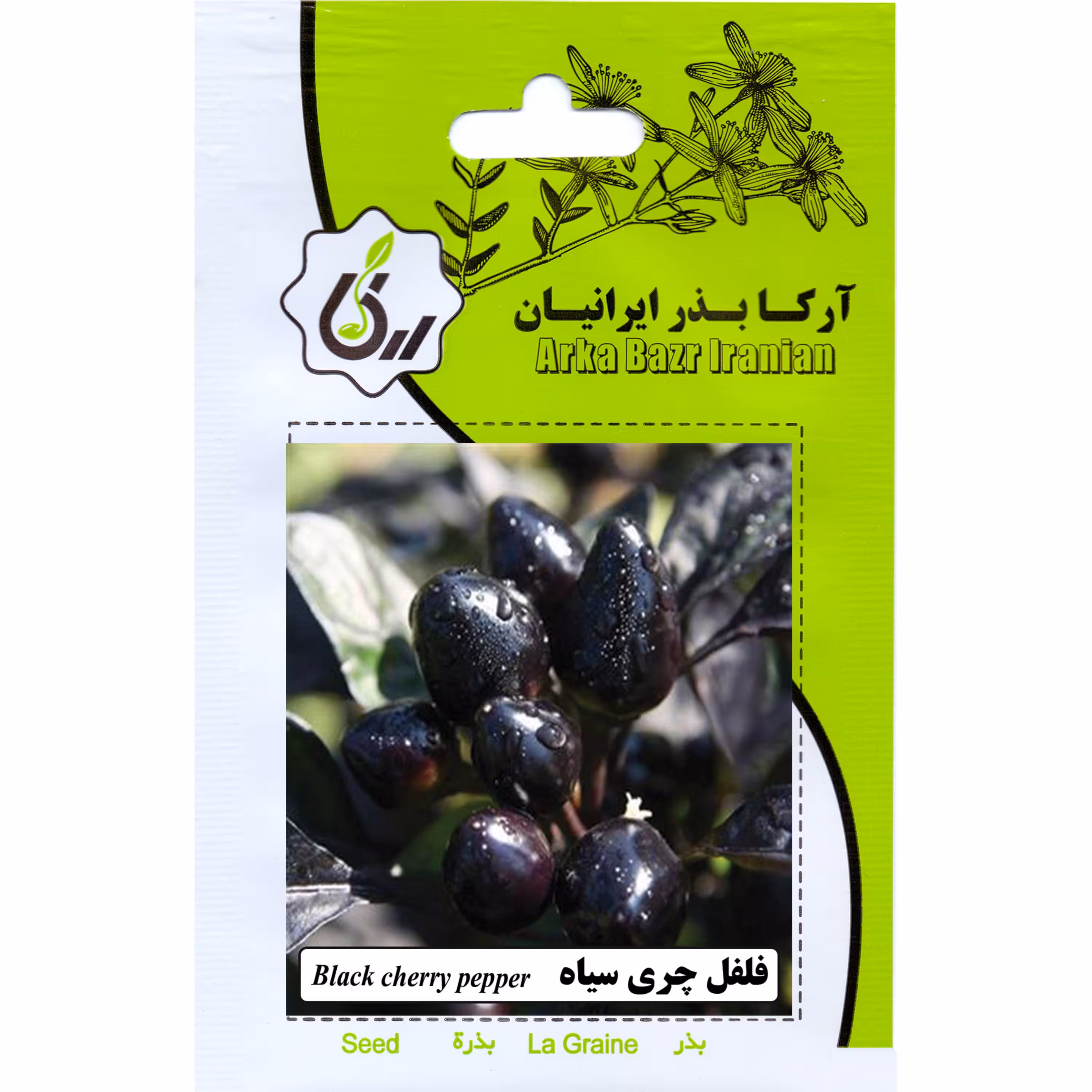 فلفل چری سیاه ارکا بذر ایرانیان