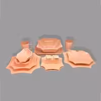 سرویس غذا خوری کارن
