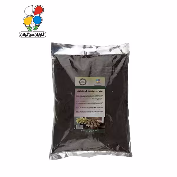 بستر آماده کشت فیتونیا بسته 4 کیلوگرمی