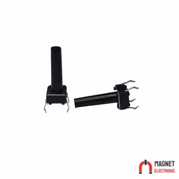 تک سوئیچ دو پین 16*6*6